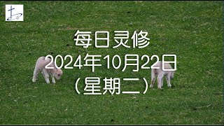 每日灵修2024年10月22日（星期二）腓立比书3章3至6节 English translation in description box [upl. by Hett]