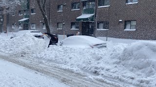 Une première tempête de neige peu de dégâts [upl. by Paff386]