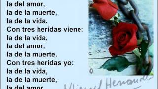 MIGUEL HERNANDEZ POEMAS [upl. by Cindy25]