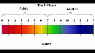 Science 10 pH Song [upl. by Mose]