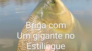 Briga com gigante no estilingue [upl. by Aracahs]