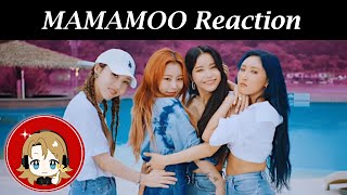 MAMAMOO  mumumumuch MV Reaction [upl. by Oicaro]