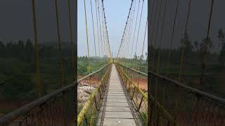 Hanging bridge Rayagada [upl. by Inalak269]