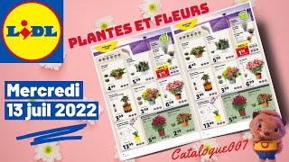 LIDL CATALOGUE PLANTES amp FLEURS ARRIVAGE DE LA SEMAINE DU 13 JUILLET 2022 [upl. by Almat]