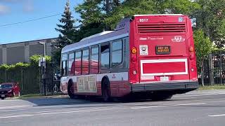 TTC Buses at Birchmount Garage [upl. by Nira]