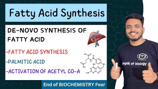 de novo synthesis of fatty acids  biochemistry  palmitic acid synthesis biochemistry sgsir [upl. by Poore371]