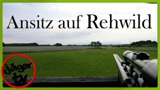 Ansitz auf Rehwild  quotUnverhofft kommt oftquot [upl. by Nwahsauq]