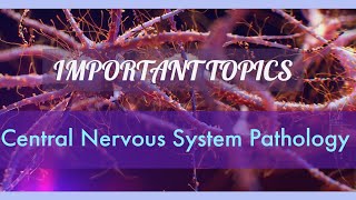 CNS PATHOLOGY lecture 4 MENINGIOMAS with scenario overview of METASTATIC TUMOURS [upl. by Rudich]