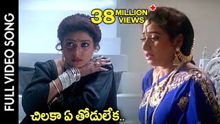 Subhalagnam Movie  Chilaka Ye Thodu Leka Video Song  Jagapathi Babu Aamani  Shalimarcinema [upl. by Astra]