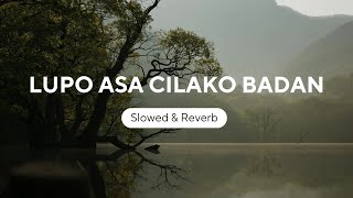 Lupo Asa Cilako Badan Slowed amp Reverb [upl. by Nicolais]