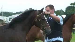 Edenbridge and Oxted show 2008 [upl. by Neyu]