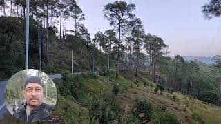 Road view of Chakori Uttarakhand Bharat [upl. by Annatsirhc]