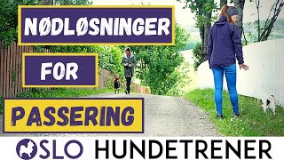 3 nødløsninger i en passering  unngå de dårlige opplevelsene som ødelegger passeringstreningen [upl. by Agustin]