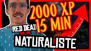 ✌🏼 2000XP EN 15MIN NATURALISTE RED DEAD ONLINE [upl. by Norha573]