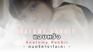 ANATOMY RABBIT  แอบหวัง Daydreamer INSTRUMENTAL KARAOKE AnatomyRabbit2 [upl. by Anev]