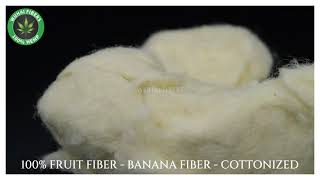 100 FRUIT FIBER  BANANA FIBER  COTTONIZED FOR COTTON BASED RING SPINNING [upl. by Lrig]