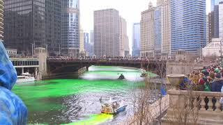 Dyeing the Chicago River Green on St Patricks Day March 2023 [upl. by Hwang397]