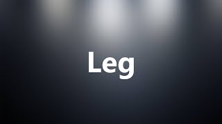 Leg  Medical Meaning and Pronunciation [upl. by Ekusuy462]