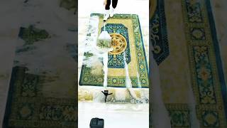 King style Carpet cleaning short video satisfying relax stainremover cleaningcarpet art [upl. by Garrard]