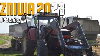 🔥Żniwa pszenicy 2023🔥Zetor 16145 fortschritt e516b🌾prasowanie jednocześnie🌾 [upl. by Purcell622]