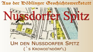 Nussdorfer Spitz [upl. by Hachmann70]