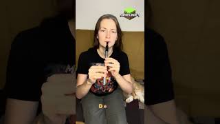 Minecraft  Otherside  tin whistle TUTORIAL [upl. by Gerc352]