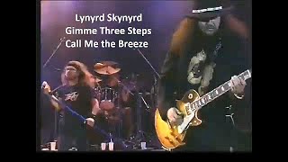 Lynyrd Skynyrd  Gimme Three Steps  Call Me the Breeze  1996  Live Video in Germany [upl. by Weksler]