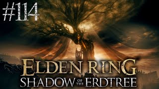 ⚔️ELDEN RING Shadow of the Erdtree⚔️114  Hochzeitscrasher PS5  Lets Play  Gameplay  Deutsch [upl. by Aihsoek544]