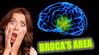 What is BROCAS AREA 😲😵  1 min ⏰ NEUROPSYCHOLOGY [upl. by Gilligan849]