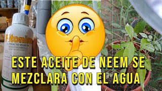 ACEITE DE NEEM INSECTICIDA AGRICOLA [upl. by Esbenshade]