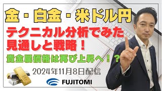 【金相場・白金相場、ドル円】金価格は米長期金利の低下とドル安で買い優勢！白金相場も堅調推移！今後のポイントは！？＜タイムサイクル分析でみた見通しと戦略＞ 20241108配信 [upl. by Swan]