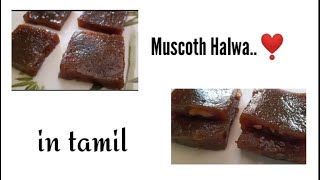 Muscoth halwa recipe in tamil ❣️ [upl. by Ames]