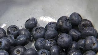 Why you should eat more blueberries [upl. by Alessandro962]