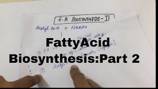 Fatty Acid BiosynthesisPart 2 [upl. by Estas821]