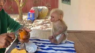 TanTan WellManner Sit Polite Observed Mom Slice Fruits [upl. by Akeenahs]