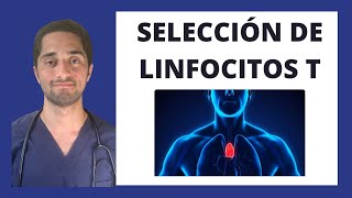 SELECCIÓN DE LINFOCITOS T  INMUNOLOGÍA [upl. by Nifares]