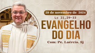 Evangelho do dia 291124 [upl. by Godbeare503]