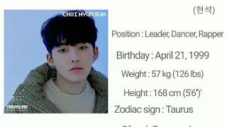 TREASURE MEMBERS PROFILE amp POSITION BIODATA [upl. by Hairim]