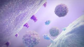 Biomedical Animation Summer Showreel 2024 [upl. by Kcitrap]