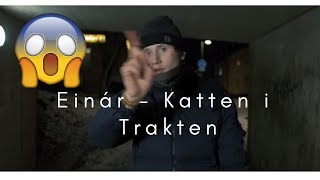 Einár  Katten i Trakten Official Music Video REACTION [upl. by Enia]