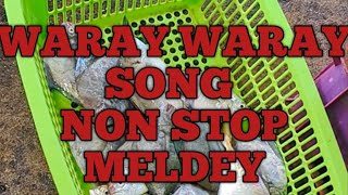 Waray Waray song non stop medley Cha Cha song medleyVisayan song isla han Samar [upl. by Asoramla]