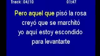 adolecentes orquesta virgen karaoke [upl. by Standush]