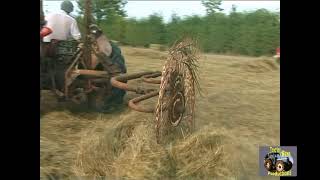 MASSEY FERGUSON 35 AND VICON ACROBAT [upl. by Carmen]