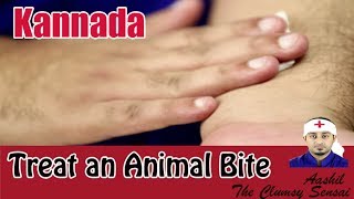 How to Treat an Animal Bite  First Aid in Kannada [upl. by Nnair558]