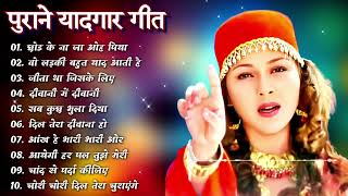 Hindi Gana🌹Sadabahar Song 💖हिंदी गाने 💔Purane Gane Mp3 💕Filmi Gaane अल्का याग्निक कुमार सानू गीत [upl. by Ynnatirb]