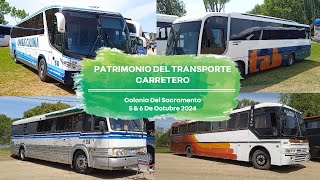 Dia Del Patrimonio 2024  Transporte Carretero De Uruguay  Colonia Del Sacramento  Parte 2 [upl. by Frech]