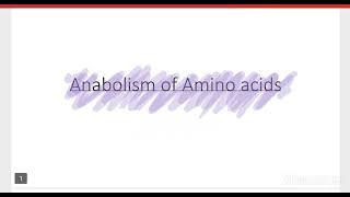 Amino Acid Metabolism Part 2 Anabolism of Amino acid [upl. by Gyimah]