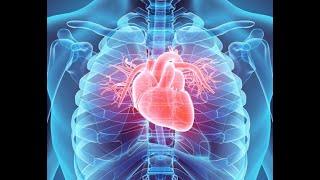 Physiology  CVS  lecture 7  Circulatory shock  April 21 2018  DrNagi  Arabic [upl. by Nrubloc865]