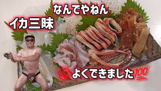 「イカ料理」釣ったイカを我流で調理する🦑刺身、焼き、沖漬、丼ぶり🦑上手に出来たかな🤣 [upl. by Ardyce]