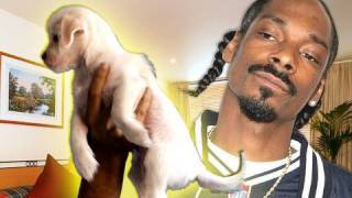 ♫ Live on the Internet Song  Rhett amp Link feat Snoop Dogg [upl. by Aldas]